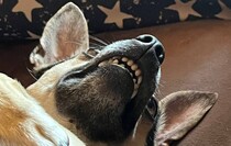 Фото: личный архив Алевтины Саенко