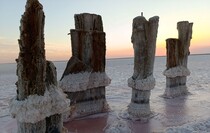 Фото: пресс-служба отдела сельского хозяйства и экологии администрации Генического муниципального округа