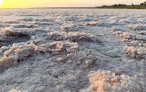 Фото: пресс-служба отдела сельского хозяйства и экологии администрации Генического муниципального округа