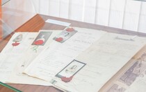 Фото: Луганский Информационный Центр/Дарья Чмирова