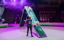 Фото: Луганский Информационный Центр/Дарья Чмирова