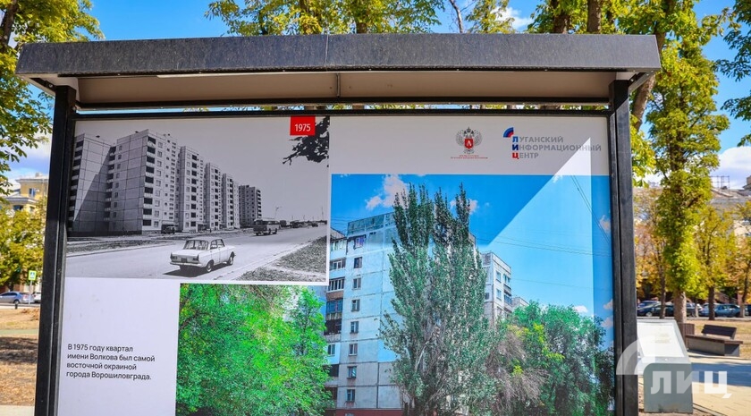 Фото: Луганский Информационный Центр/Анастасия Стеценко