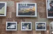Фото: Луганский Информационный Центр/Дарья Чмирова