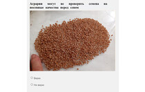 Изображение: Россельхозцентр