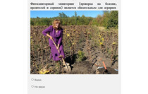 Изображение: Россельхозцентр