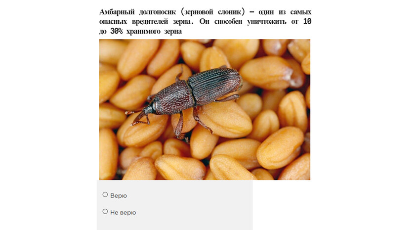 Изображение: Россельхозцентр