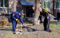 Фото: Луганский Информационный Центр/Анастасия Стеценко