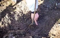 Фото: Луганский Информационный Центр/Анастасия Стеценко