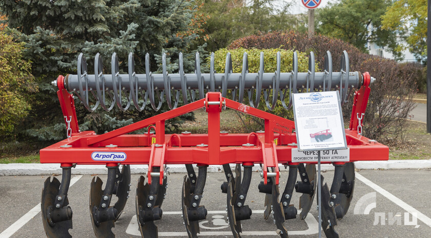 Фото: Луганский Информационный Центр/Чмирова Дарья