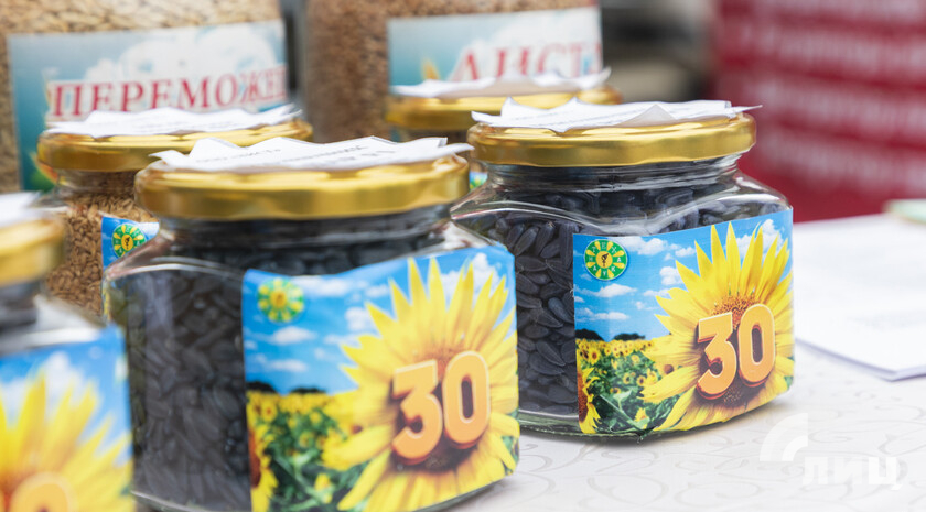 Фото: Луганский Информационный Центр/Чмирова Дарья