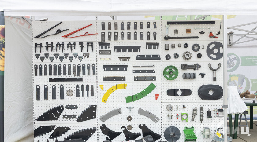 Фото: Луганский Информационный Центр/Чмирова Дарья