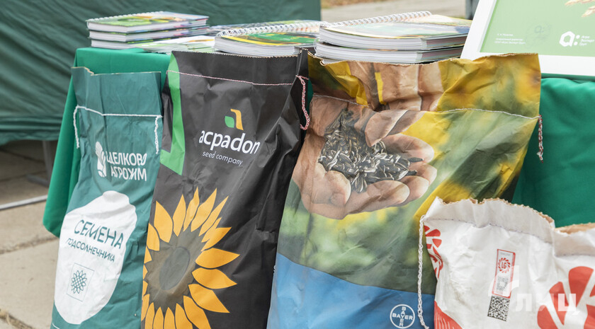 Фото: Луганский Информационный Центр/Чмирова Дарья