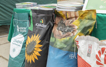 Фото: Луганский Информационный Центр/Чмирова Дарья