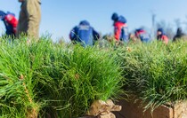 Фото: Луганский Информационный Центр/Дарья Чмирова