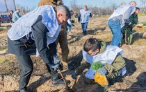 Фото: Луганский Информационный Центр/Дарья Чмирова