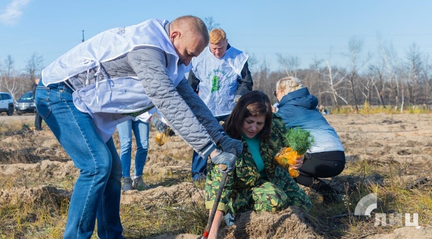 Фото: Луганский Информационный Центр/Дарья Чмирова
