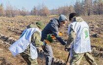 Фото: Луганский Информационный Центр/Дарья Чмирова