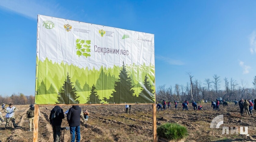 Фото: Луганский Информационный Центр/Дарья Чмирова