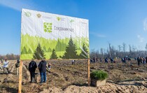 Фото: Луганский Информационный Центр/Дарья Чмирова