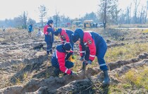 Фото: Луганский Информационный Центр/Дарья Чмирова