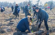 Фото: Луганский Информационный Центр/Дарья Чмирова