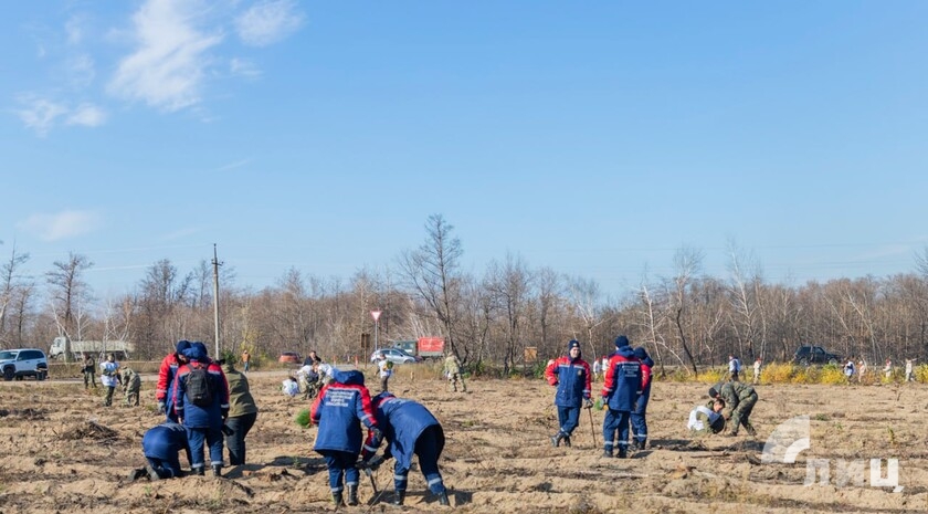 Фото: Луганский Информационный Центр/Дарья Чмирова