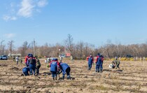 Фото: Луганский Информационный Центр/Дарья Чмирова