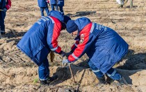 Фото: Луганский Информационный Центр/Дарья Чмирова