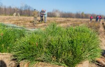 Фото: Луганский Информационный Центр/Дарья Чмирова