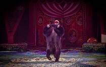 Фото: Луганский Информационный Центр/Анастасия Стеценко Фото: Луганский Информационный Центр/Анастасия Стеценко