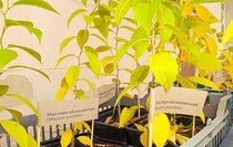 Фото: Луганский Информационный Центр Фото: Луганский Информационный Центр