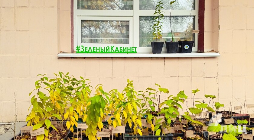 Фото: Луганский Информационный Центр Фото: Луганский Информационный Центр