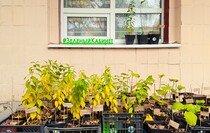 Фото: Луганский Информационный Центр Фото: Луганский Информационный Центр