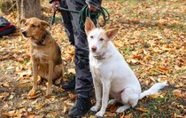 Фото: Луганский Информационный Центр/Анастасия Стеценко