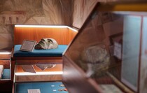 Фото: Луганский Информационный Центр/Анастасия Стеценко