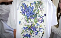 Фото: Луганский Информационный Центр/Анастасия Стеценко