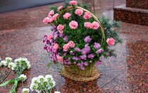 Фото: Луганский Информационный Центр/Анастасия Стеценко