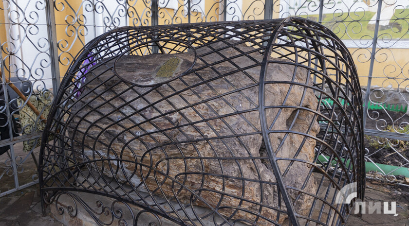 Фото: Луганский Информационный Центр/Чмирова Дарья