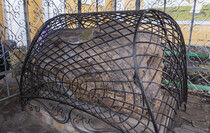 Фото: Луганский Информационный Центр/Чмирова Дарья