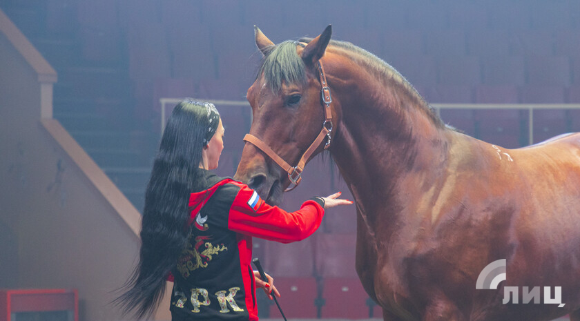 Фото: Луганский Информационный Центр/Дарья Чмирова