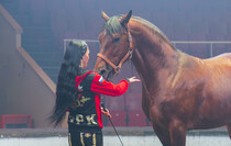 Фото: Луганский Информационный Центр/Дарья Чмирова