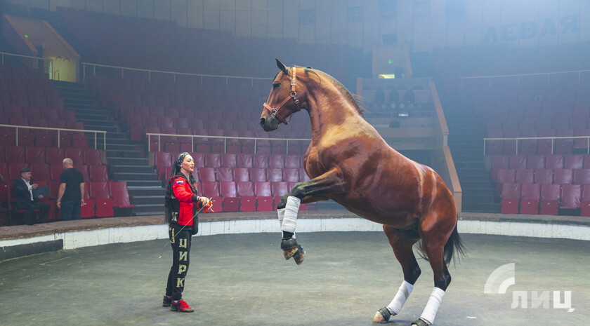 Фото: Луганский Информационный Центр/Дарья Чмирова