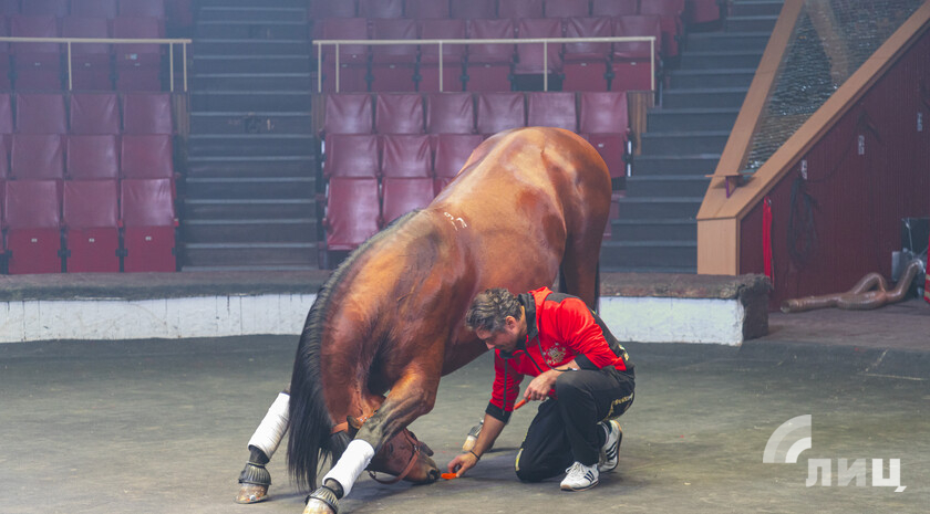 Фото: Луганский Информационный Центр/Дарья Чмирова