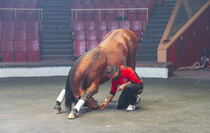 Фото: Луганский Информационный Центр/Дарья Чмирова