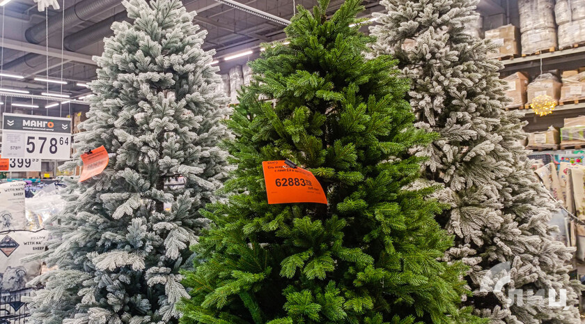 Фото: Луганский Информационный Центр 