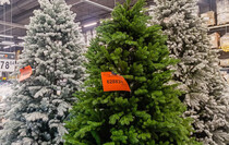 Фото: Луганский Информационный Центр 