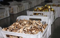 Фото: Луганский Информационный Центр/Анастасия Стеценко