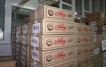 Фото: Луганский Информационный Центр/Анастасия Стеценко