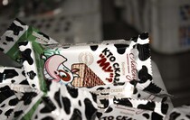 Фото: Луганский Информационный Центр/Анастасия Стеценко