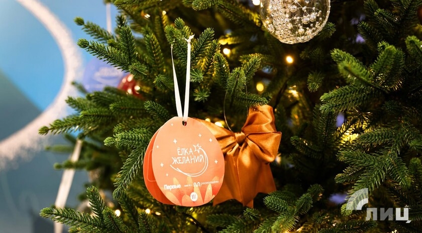 Фото: Луганский Информационный Центр/Анастасия Стеценко